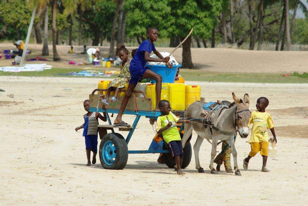Enfants transportant des biens sur une charrette tirée par un âne
